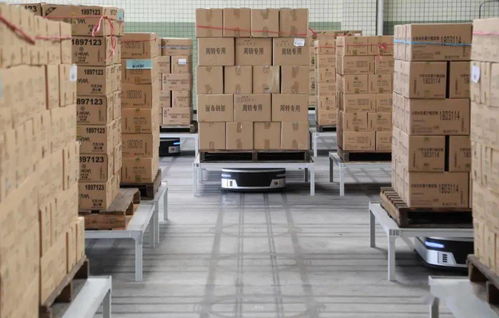 十問曠視印奇 AI公司步入深水區，友商其實不是友商，裝卸搬運的現實與挑戰